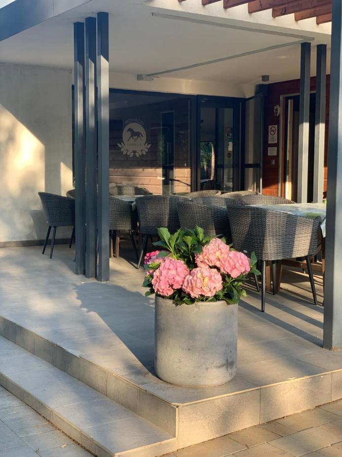 Mohacsi Wellness Vendeghaz Es Lovasklub Hotel Luaran gambar